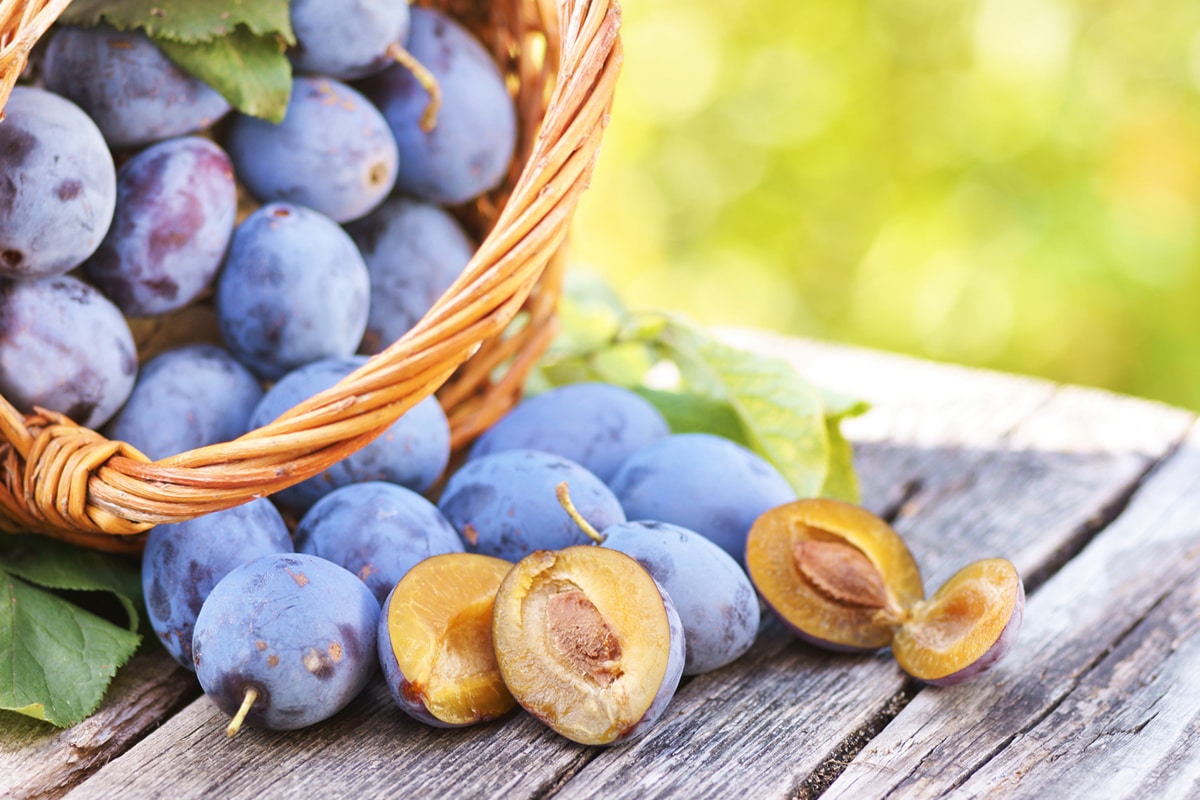 Auf einer Holzoberfläche steht ein Weidenkorb voller ganzer frischer Pflaumen, daneben liegen mehrere halbierte Pflaumen und grüne Blätter.
